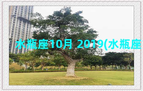 水瓶座10月 2019(水瓶座10月运势)